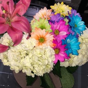 Meet your Posher, Monique